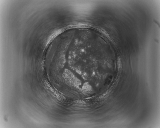 X0000100861405200807070922