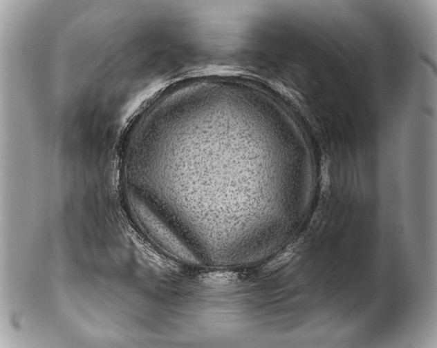 X0000100861406200807070922