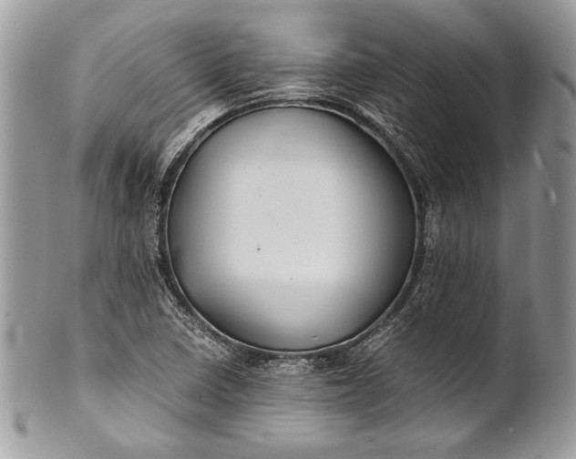 X0000100861410200807070922