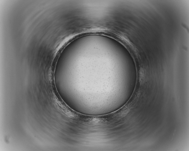 X0000100861412200807070922