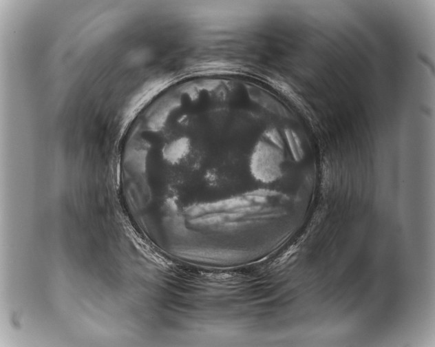 X0000100861413200807070922