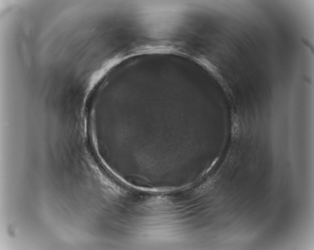 X0000100861414200807070922