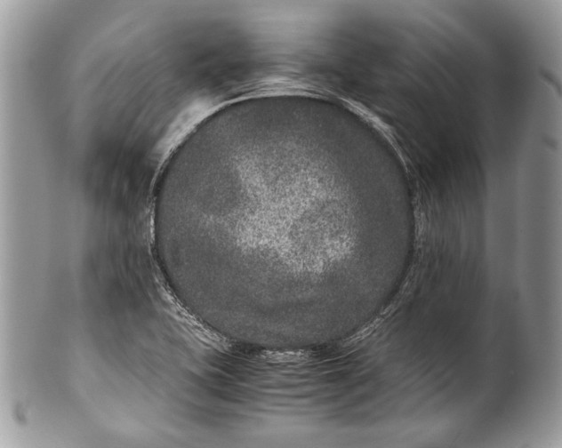 X0000100861415200807070922