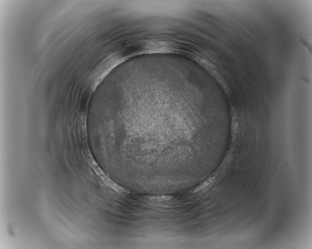 X0000100861417200807070922