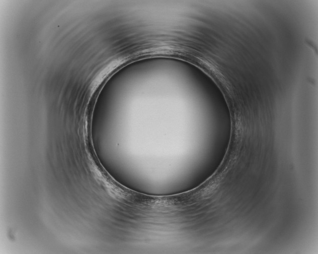 X0000100861418200807070922