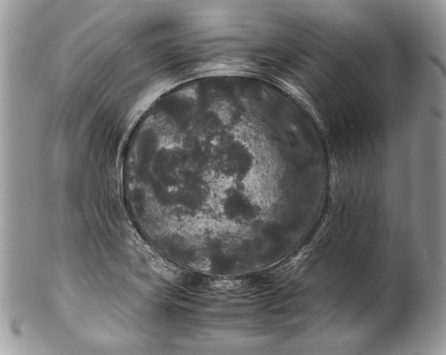 X0000100861419200807070922