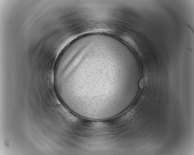 X0000100861420200807070922