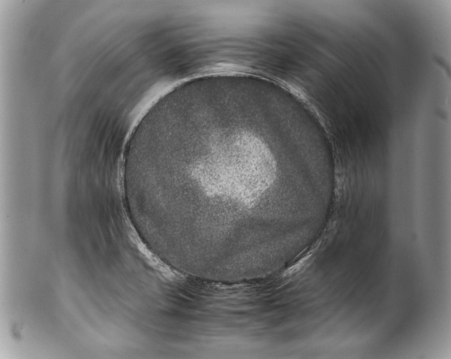 X0000100861421200807070922