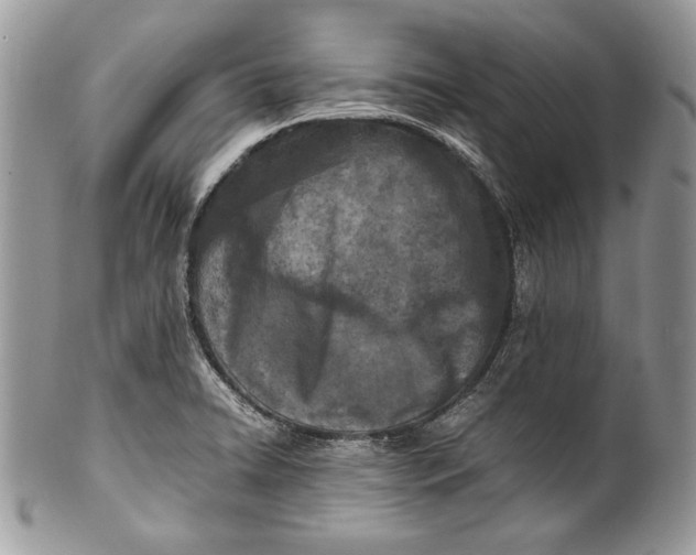 X0000100861422200807070922