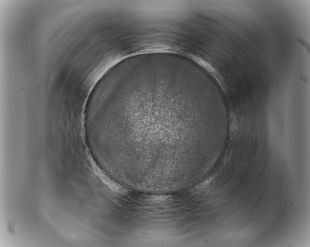 X0000100861423200807070922