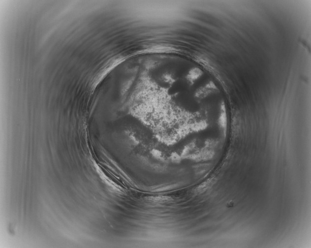 X0000100861425200807070922