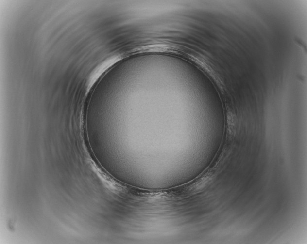 X0000100861426200807070922