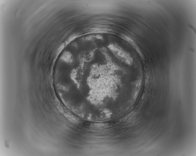 X0000100861427200807070922