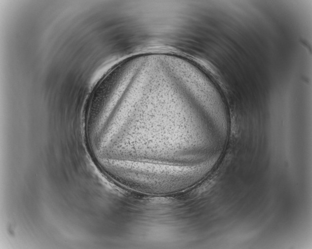 X0000100861430200807070922