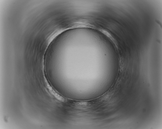 X0000100861431200807070922