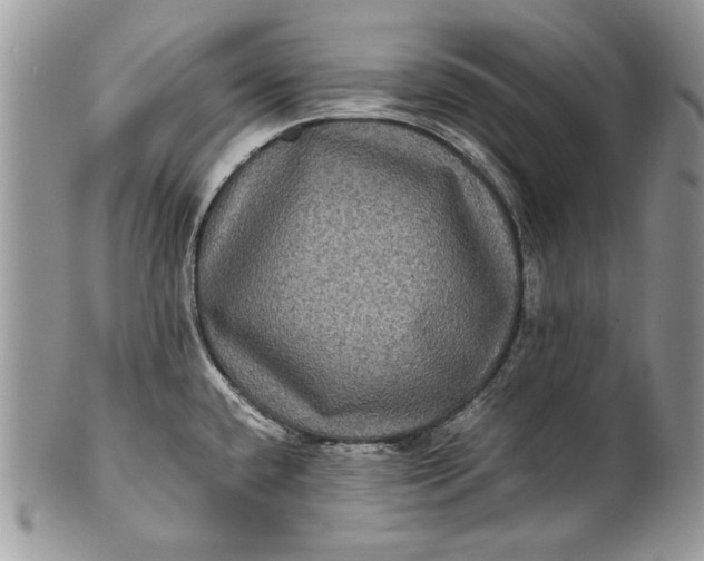 X0000100861432200807070922