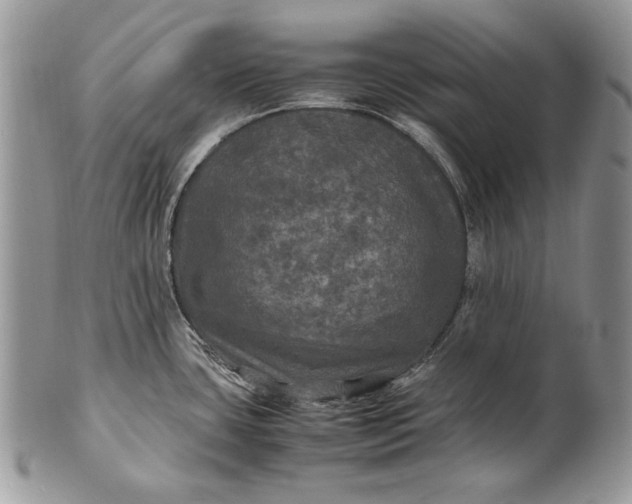 X0000100861435200807070922