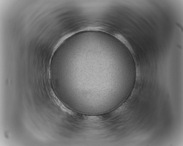 X0000100861436200807070922