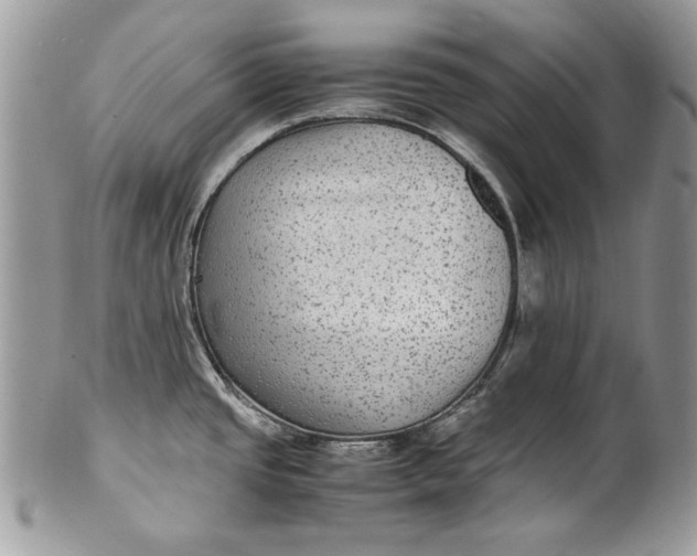 X0000100861437200807070922