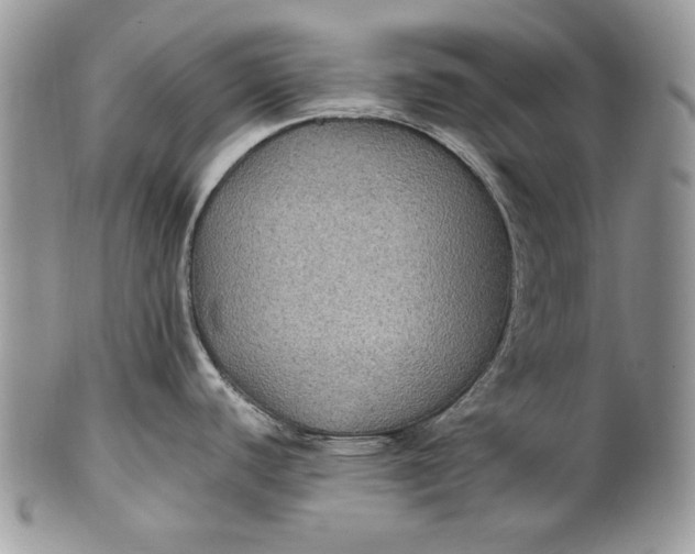 X0000100861440200807070922