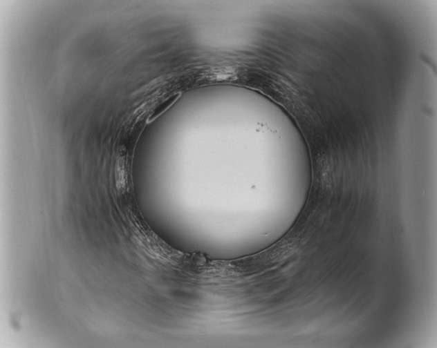 X0000100861442200807070922