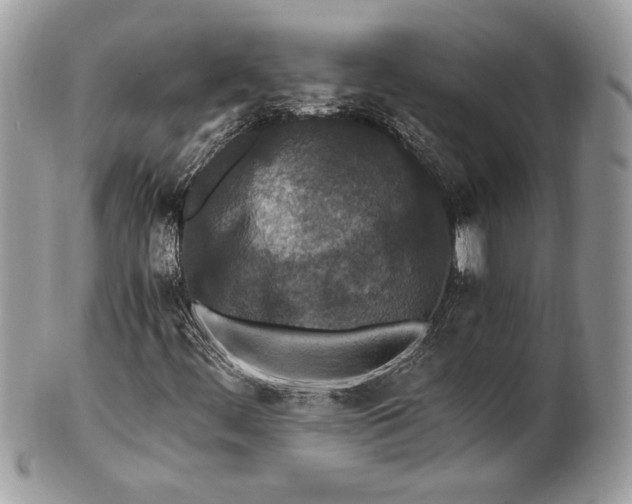 X0000100861444200807070922