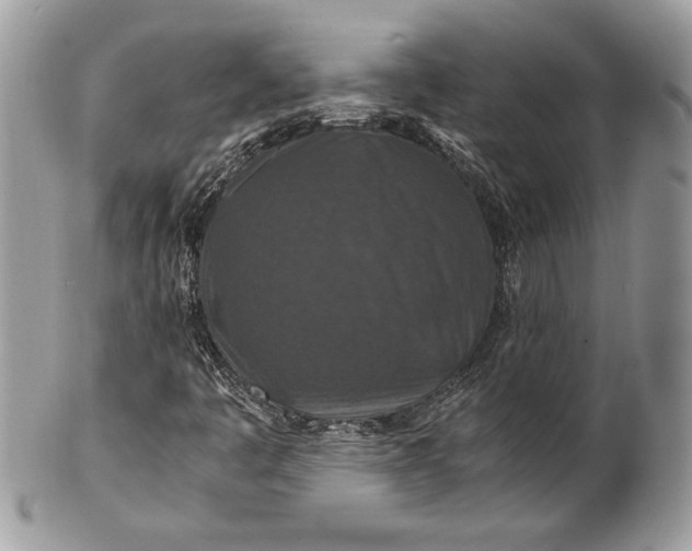 X0000100861445200807070922