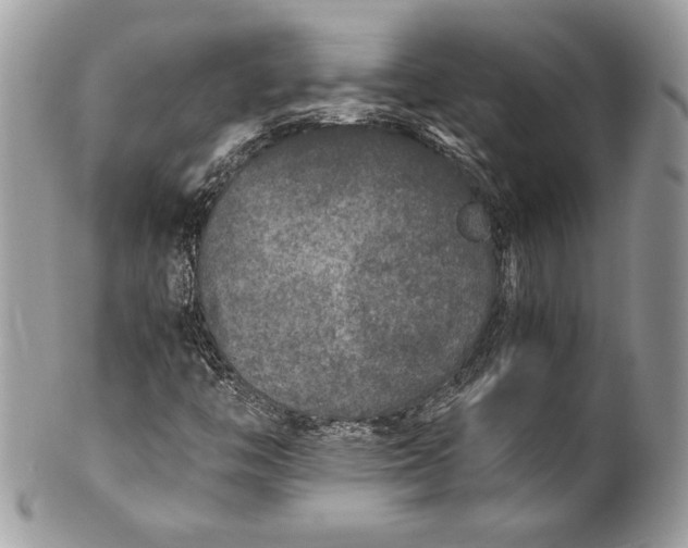 X0000100861446200807070922