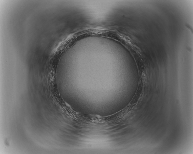 X0000100861447200807070922