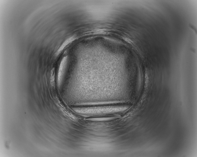 X0000100861450200807070922