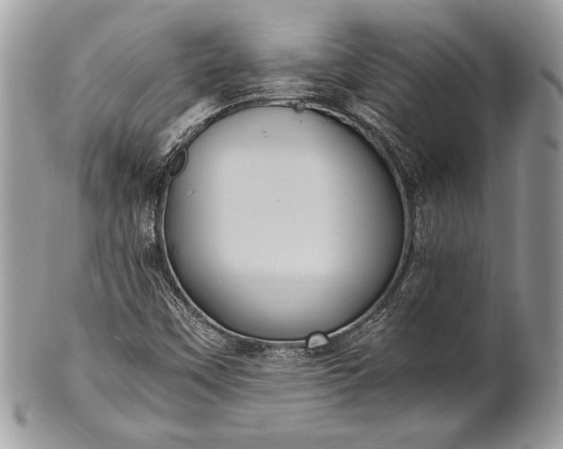 X0000100861451200807070922