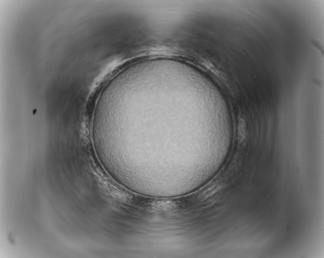 X0000100861454200807070922