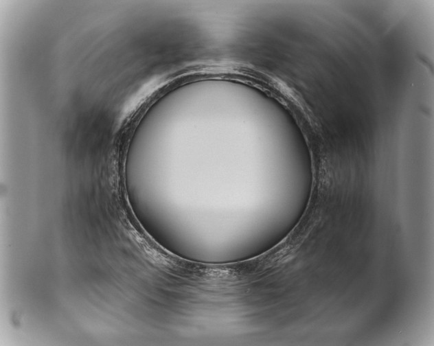 X0000100861456200807070922