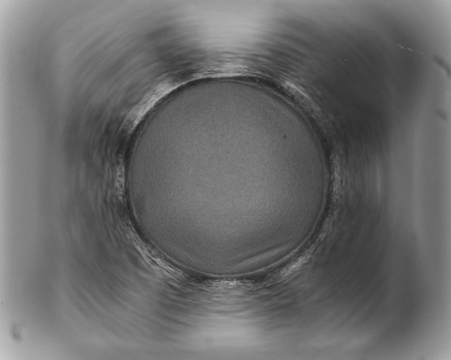 X0000100861457200807070922