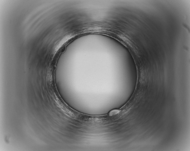 X0000100861458200807070922