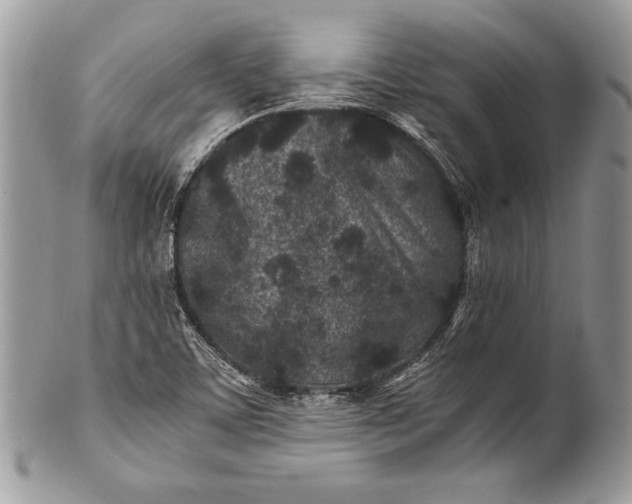 X0000100861459200807070921