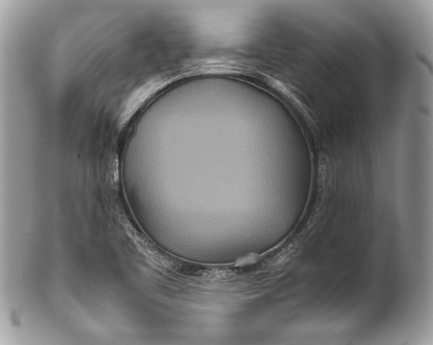 X0000100861461200807070921