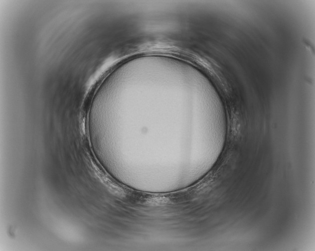 X0000100861462200807070921