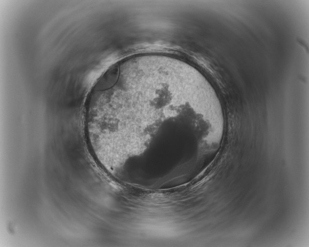 X0000100861463200807070921