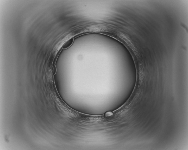 X0000100861465200807070921