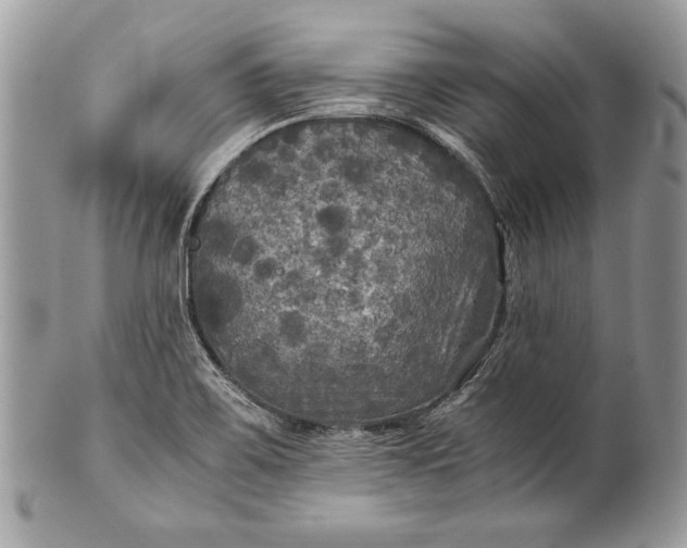 X0000100861467200807070921