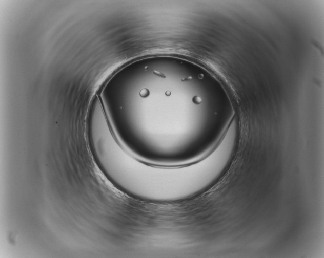 X0000100861468200807070921