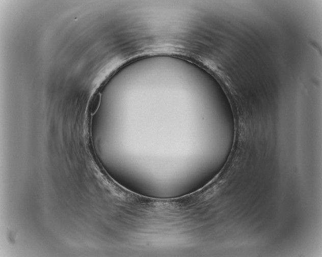 X0000100861469200807070921