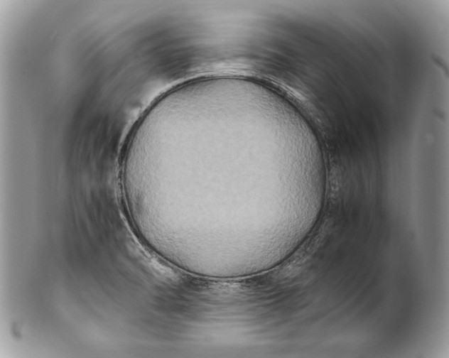 X0000100861470200807070921