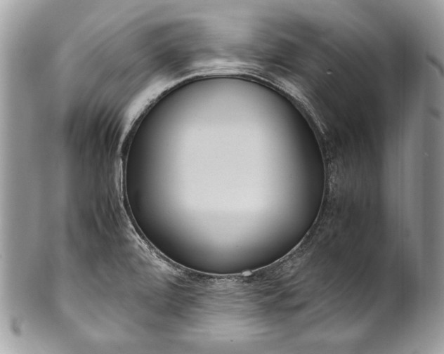 X0000100861472200807070921