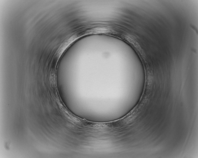 X0000100861473200807070921