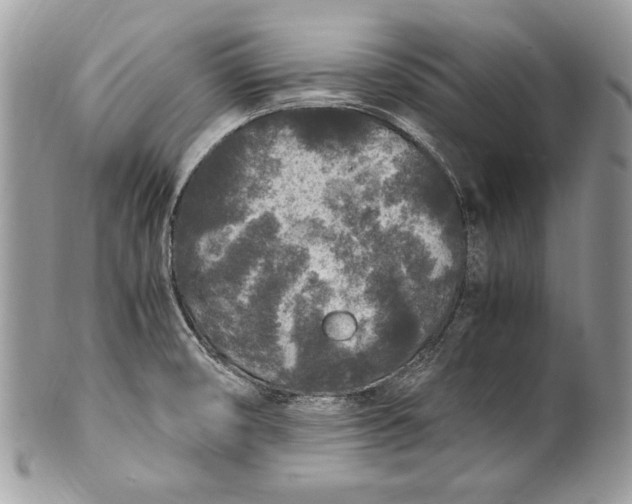 X0000100861474200807070921