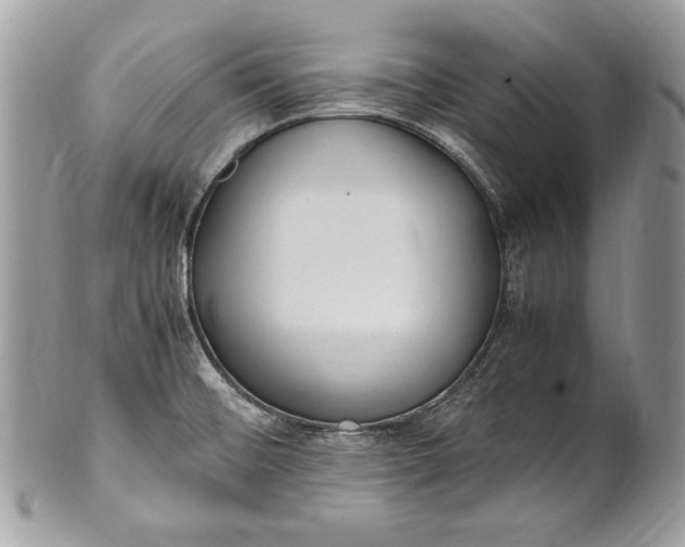 X0000100861476200807070921