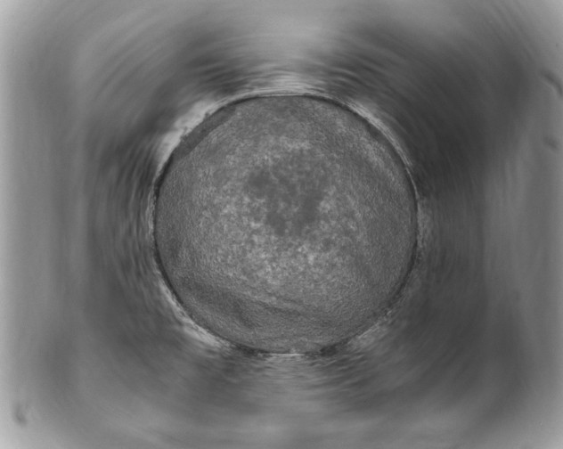 X0000100861477200807070921