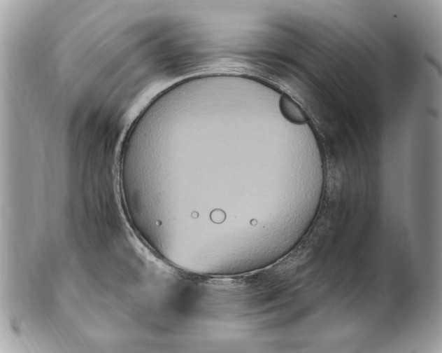 X0000100861478200807070921